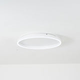 Olen Flush Mount Ceiling Light