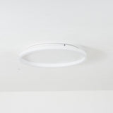 Olen Flush Mount Ceiling Light