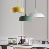 Aria  Modern Pendant Light Dome Macaron  Dining Room