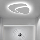 Zeno Designer Geometric Ceiling Light