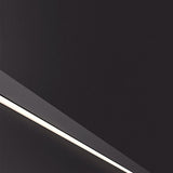 Liora Modern Slim Linear Black LED Wall Lamp
