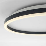 Olen Flush Mount Ceiling Light