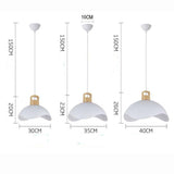 Valentina Colorful Shade Single Pendant Lights, Wood & Metal