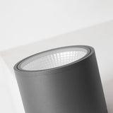Ray Modern Black Cylindrical Flush Mount Ceiling Light Spotlight