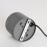Ray Modern Black Cylindrical Flush Mount Ceiling Light Spotlight