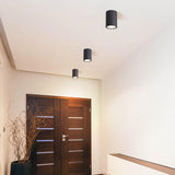 Ray Modern Black Cylindrical Flush Mount Ceiling Light Spotlight