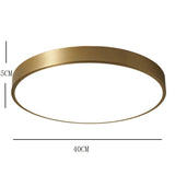 Arisha Nordic LED Gold Round Ceiling Light, Metal &