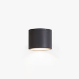 Ray Modern Black Cylindrical Flush Mount Ceiling Light Spotlight