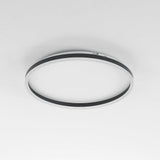 Olen Flush Mount Ceiling Light