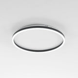 Olen Flush Mount Ceiling Light