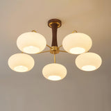 Candy Brass Wooden Glass Persimmon Chandelier