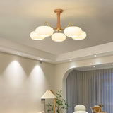 Candy Brass Wooden Glass Persimmon Chandelier