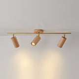 Arthur Ceiling Light Spotlight