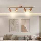 Arthur Ceiling Light Spotlight