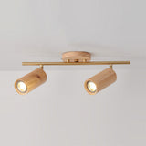 Arthur Ceiling Light Spotlight