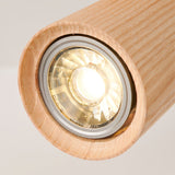 Arthur Ceiling Light Spotlight