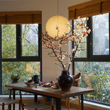 Sylin Pendant Swag Light