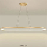 Junel Minimalist Oval Interior Hanging Pendant Light