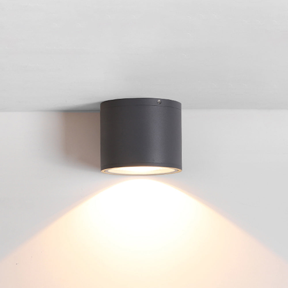 Ray Modern Black Cylindrical Flush Mount Ceiling Light Spotlight