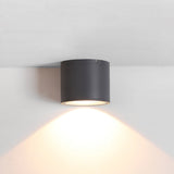 Ray Modern Black Cylindrical Flush Mount Ceiling Light Spotlight